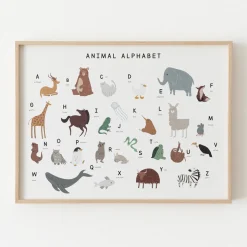 Animal