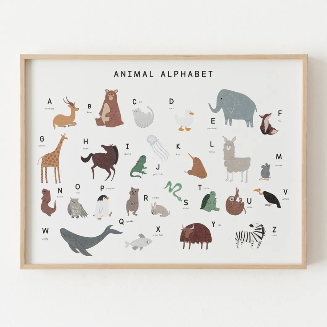 Animal