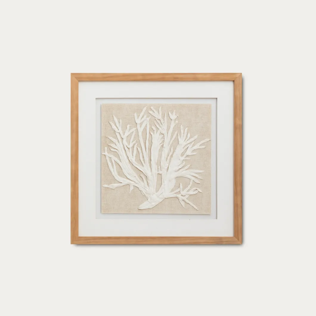 Coral