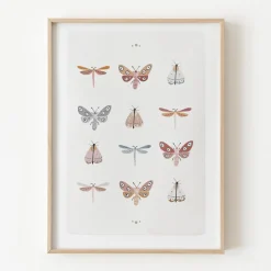 Mariposas
