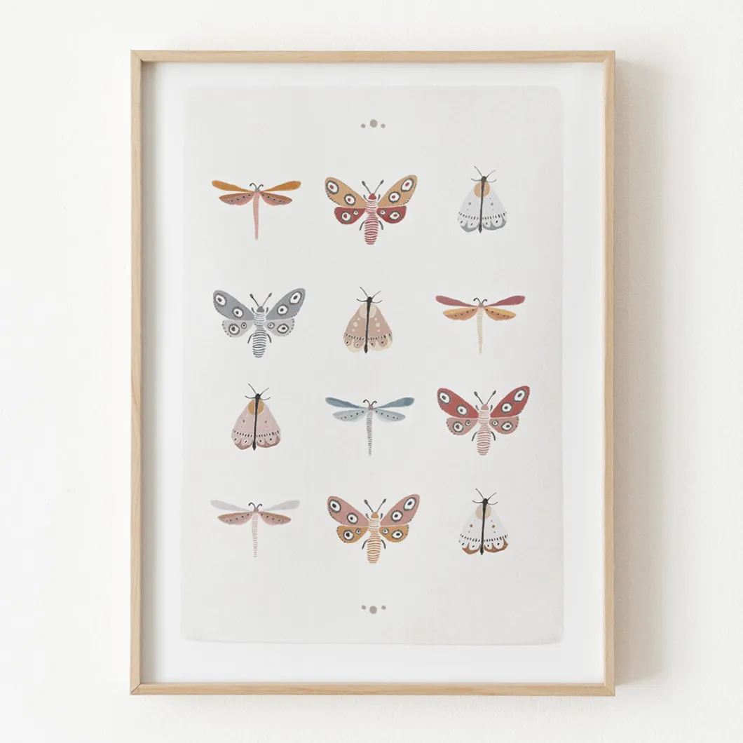 Mariposas