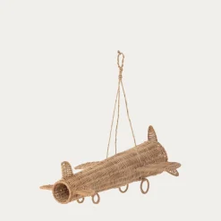 Plane