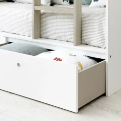 Tier